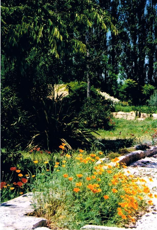 Le Mas De La Chouette Saint-Remy-de-Provence Luaran gambar