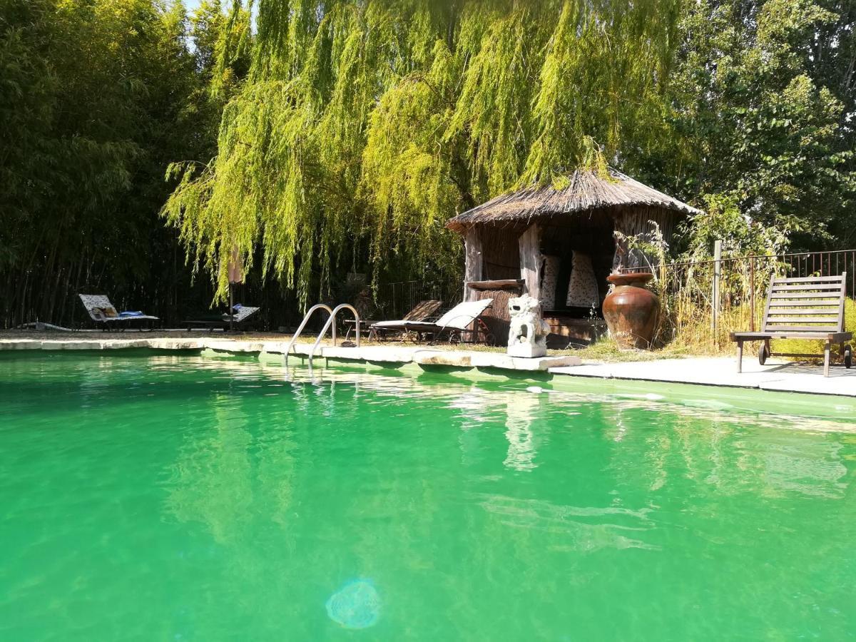 Le Mas De La Chouette Saint-Remy-de-Provence Luaran gambar